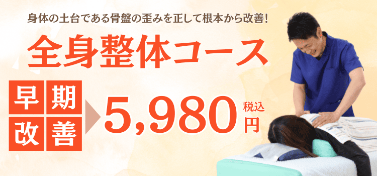 全身整体コース